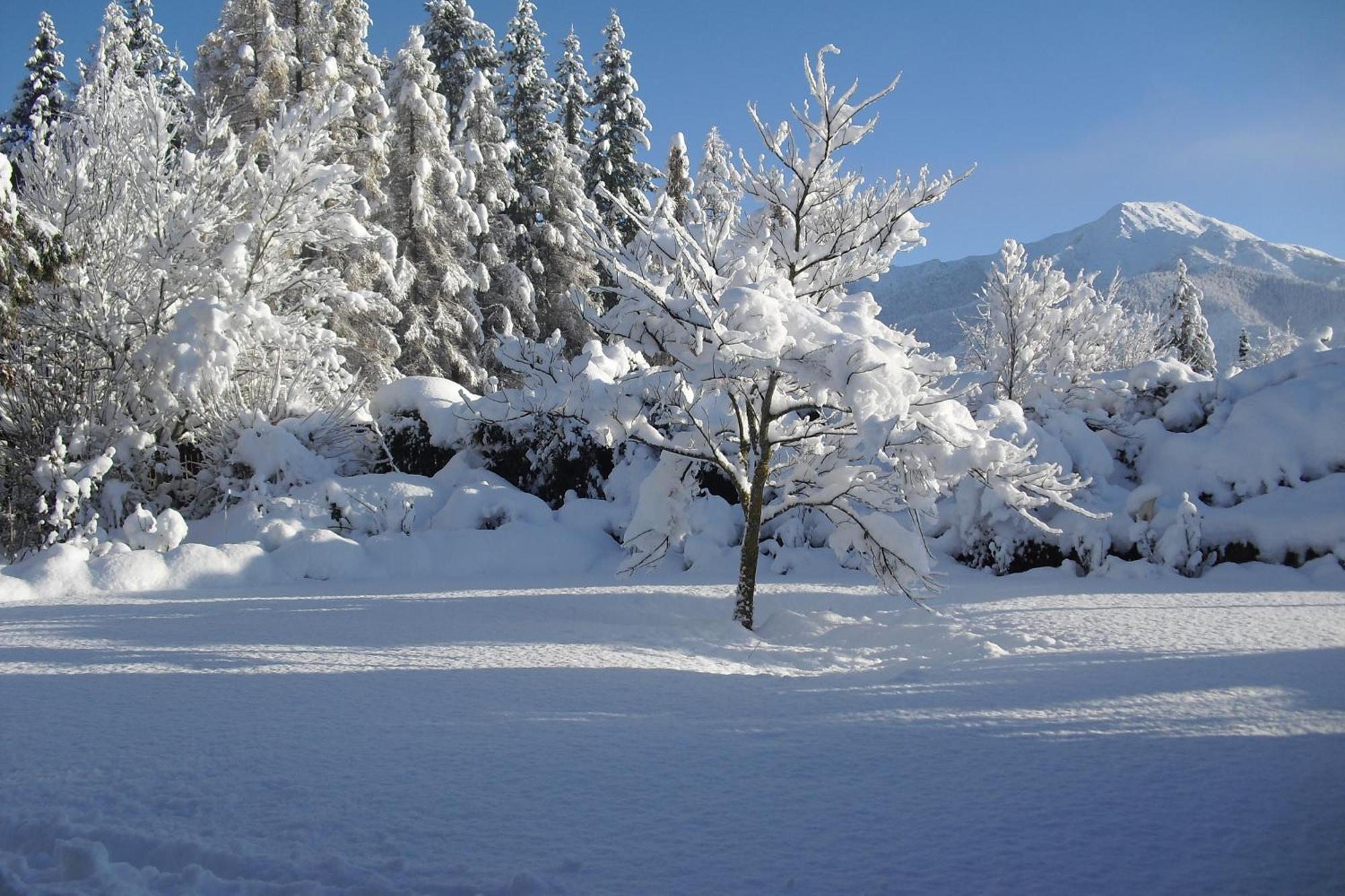 Marchmont Gardens Bed & Breakfast Hanmer Springs Eksteriør bilde