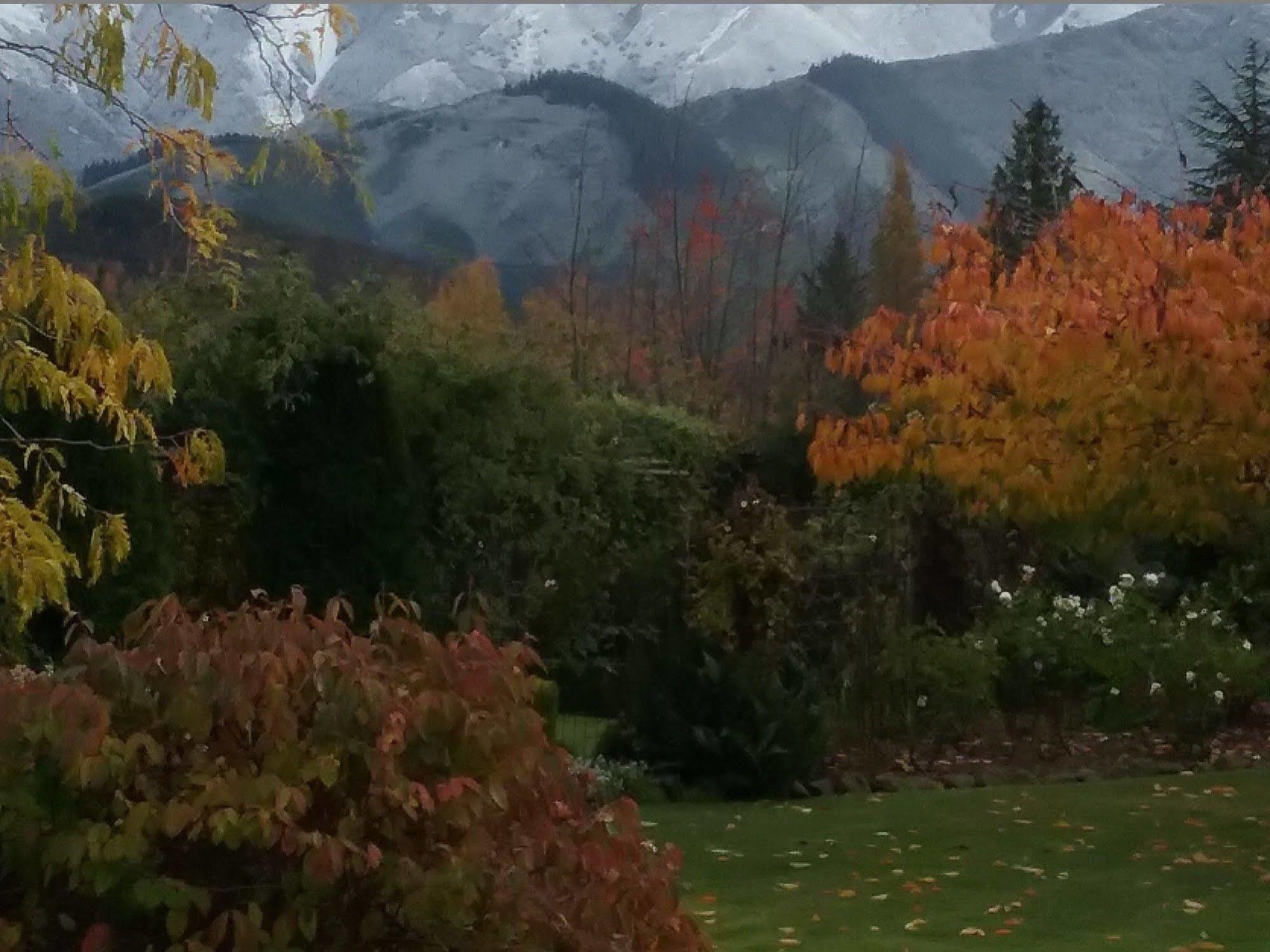 Marchmont Gardens Bed & Breakfast Hanmer Springs Eksteriør bilde