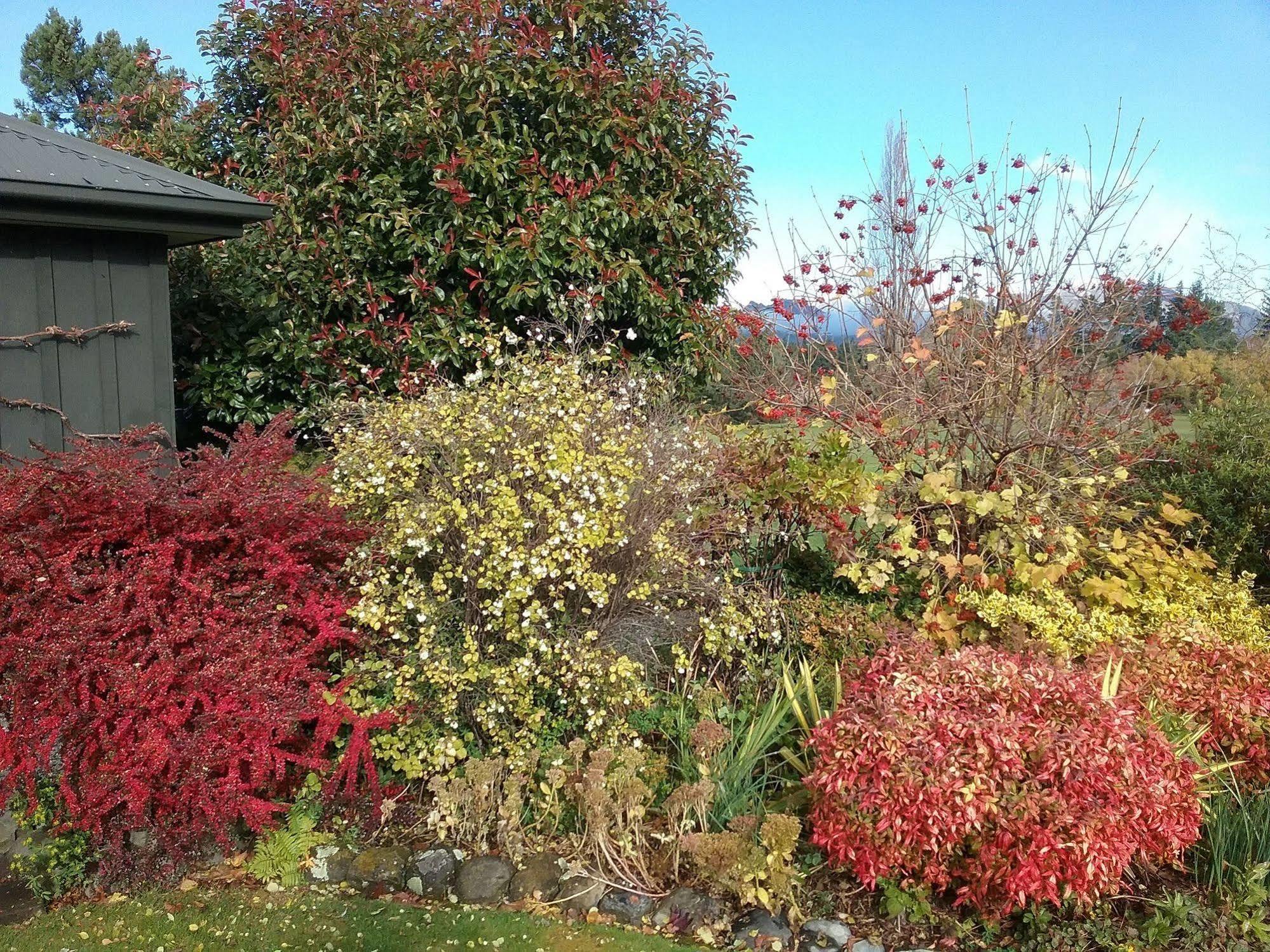 Marchmont Gardens Bed & Breakfast Hanmer Springs Eksteriør bilde