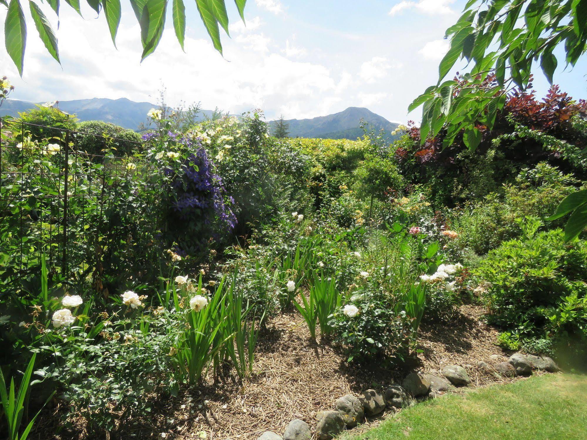 Marchmont Gardens Bed & Breakfast Hanmer Springs Eksteriør bilde