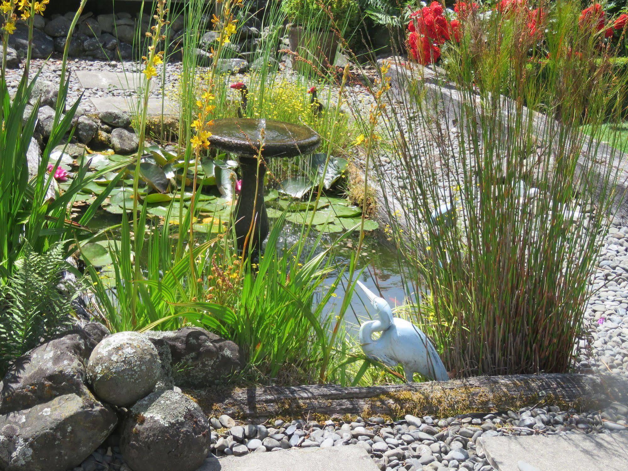Marchmont Gardens Bed & Breakfast Hanmer Springs Eksteriør bilde